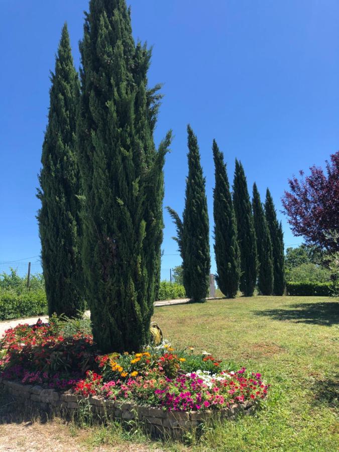 Il Gufo Del Chianti Apartment Montespertoli Luaran gambar